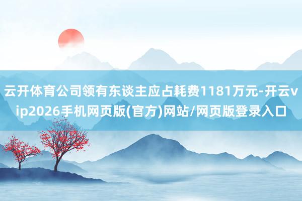 云开体育公司领有东谈主应占耗费1181万元-开云vip2026手机网页版(官方)网站/网页版登录入口