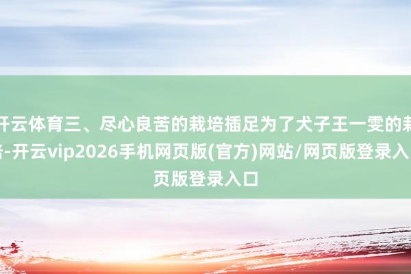 开云体育三、尽心良苦的栽培插足为了犬子王一雯的栽培-开云vip2026手机网页版(官方)网站/网页版登录入口